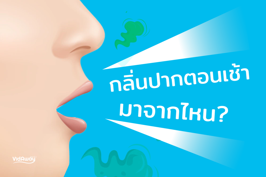 สาเหตุของการมีกลิ่นปากตอนเช้า มาจากไหน?