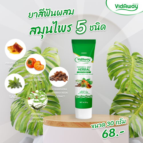 เทอร์ปีนมินต์